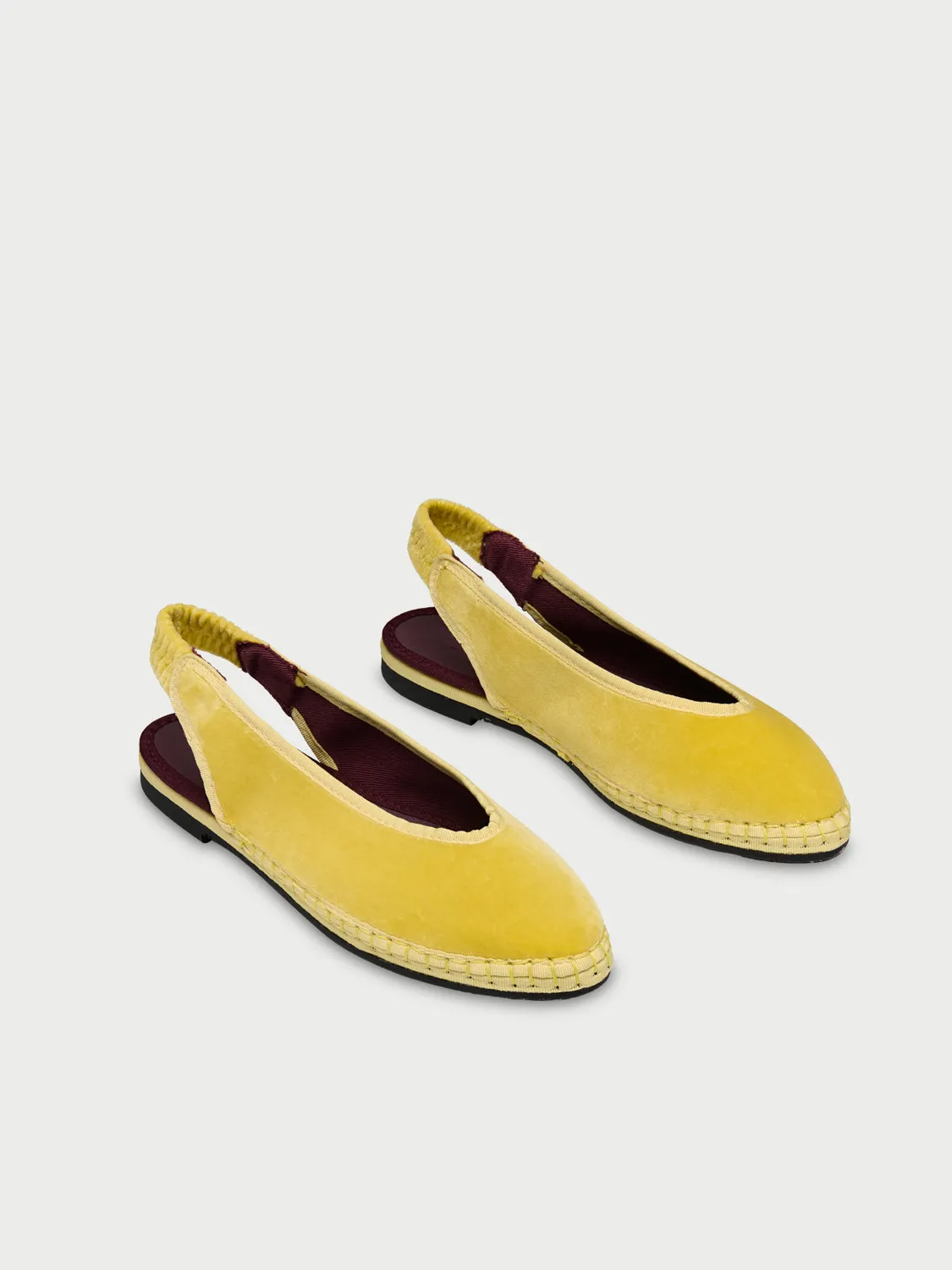 Flagelus Narnia Yellow balerini galbeni