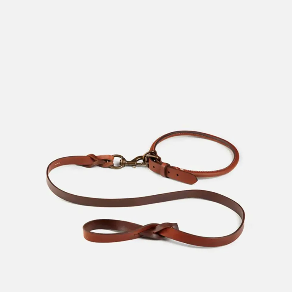 Cecilia Bringheli Nuba Light Brown zgarda caine piele