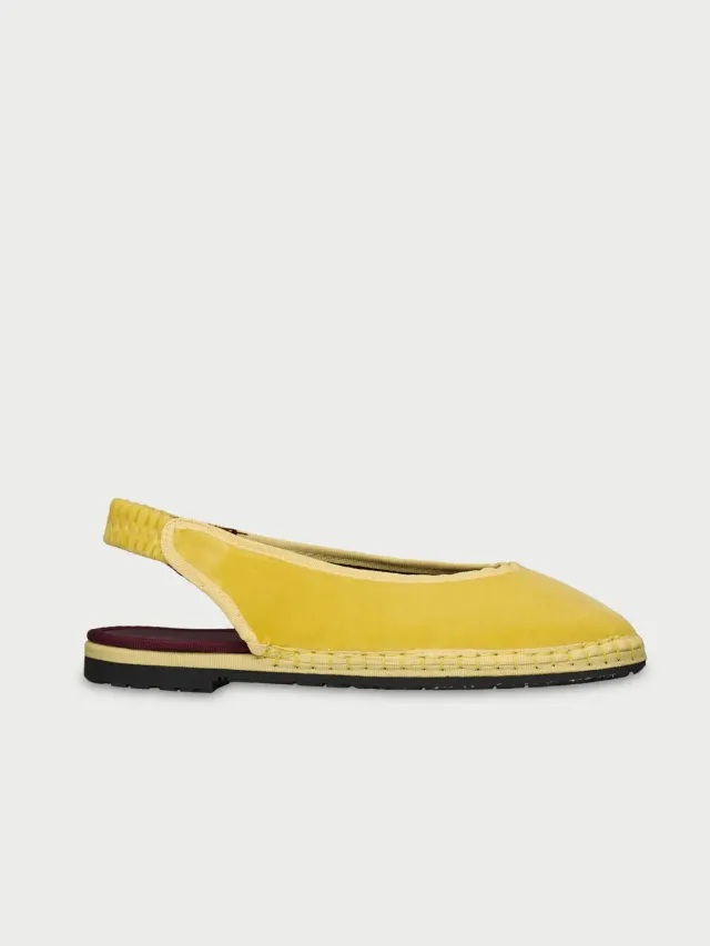 Flagelus Narnia Yellow balerini galbeni