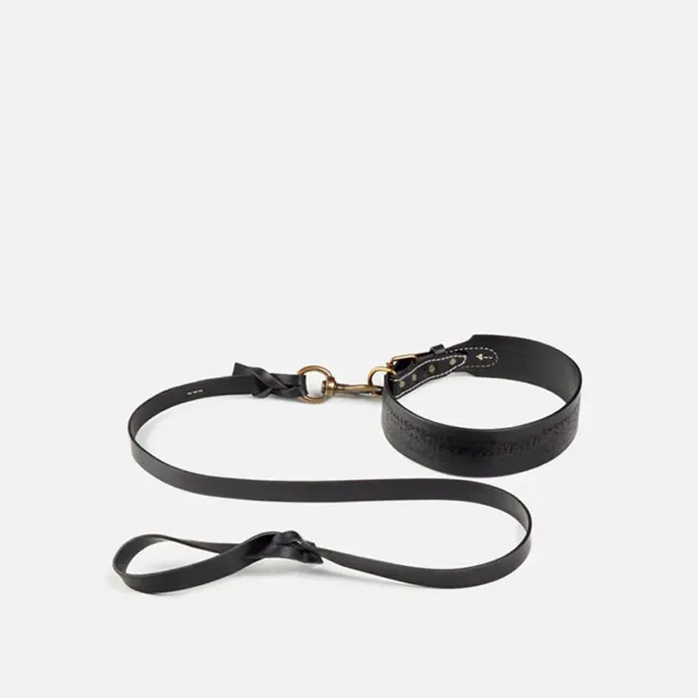 Cecilia Bringheli Baffo zgarda caine piele neagra